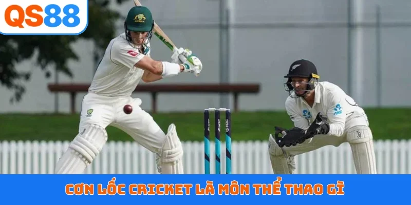 Cơn lốc cricket là môn thể thao gì