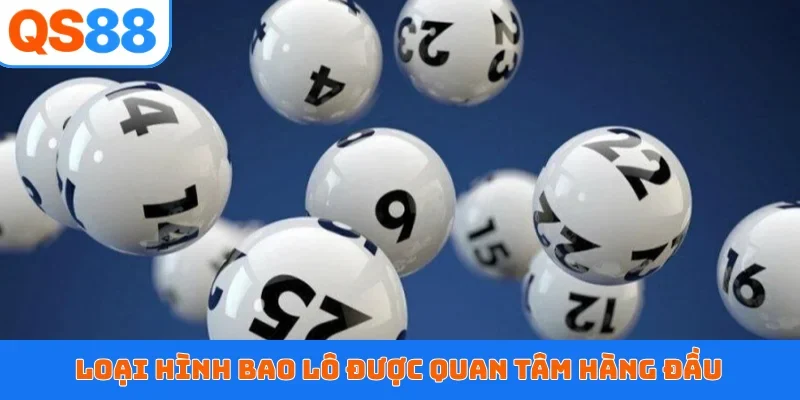 Loại hình bao lô được quan tâm hàng đầu